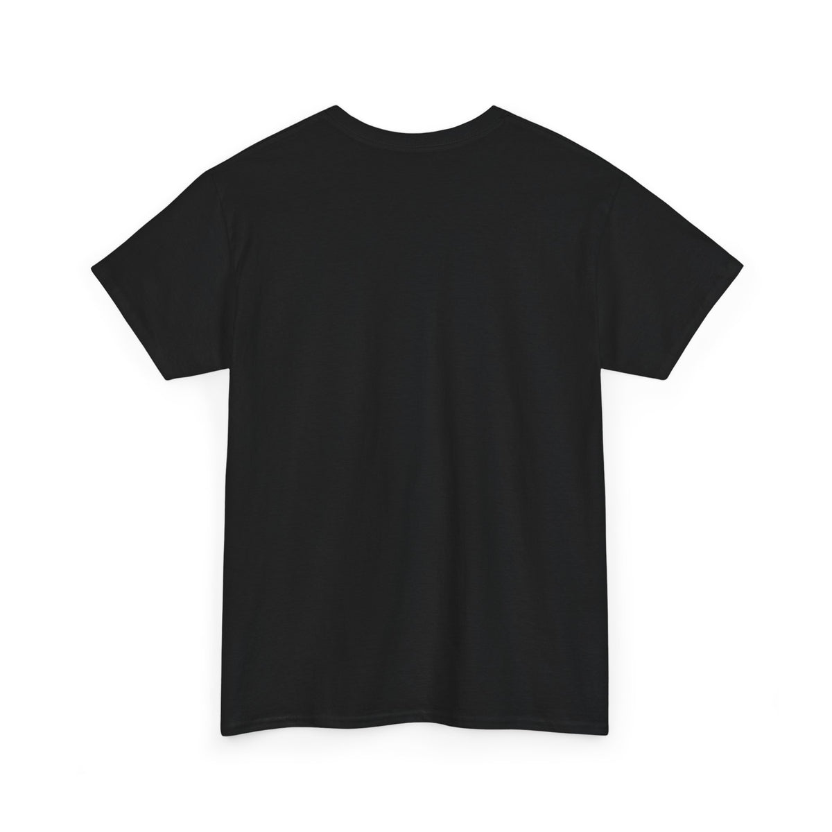 @quiilly Stanced Civic T-Shirt