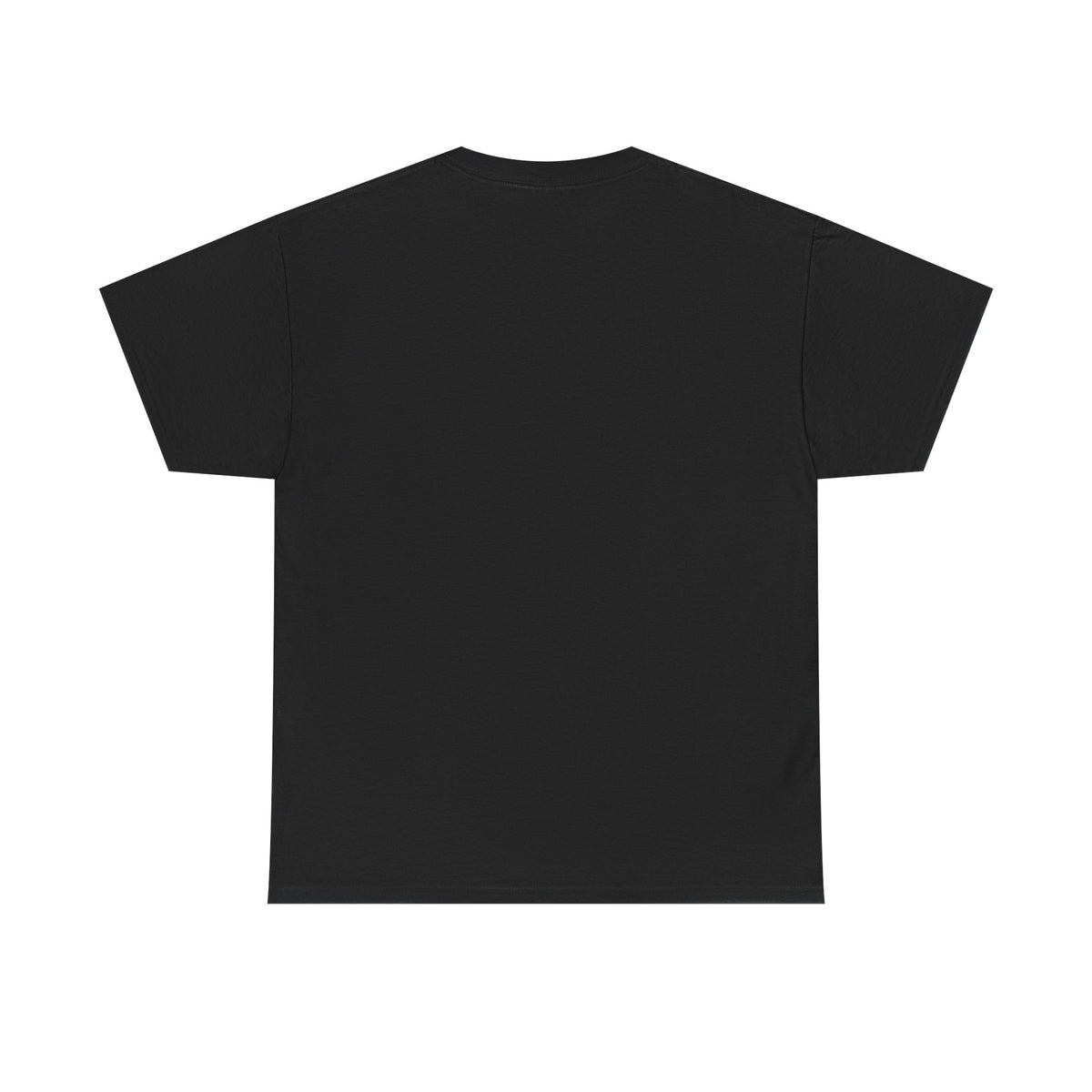@quiilly Stanced Civic T-Shirt
